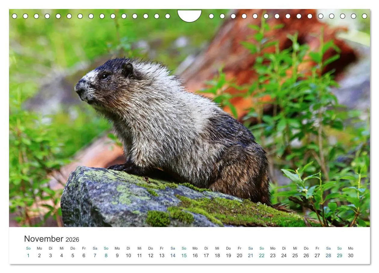 Bild: 9783457636893 | Icefields Parkway in Kanada (Wandkalender 2026 DIN A4 quer),...
