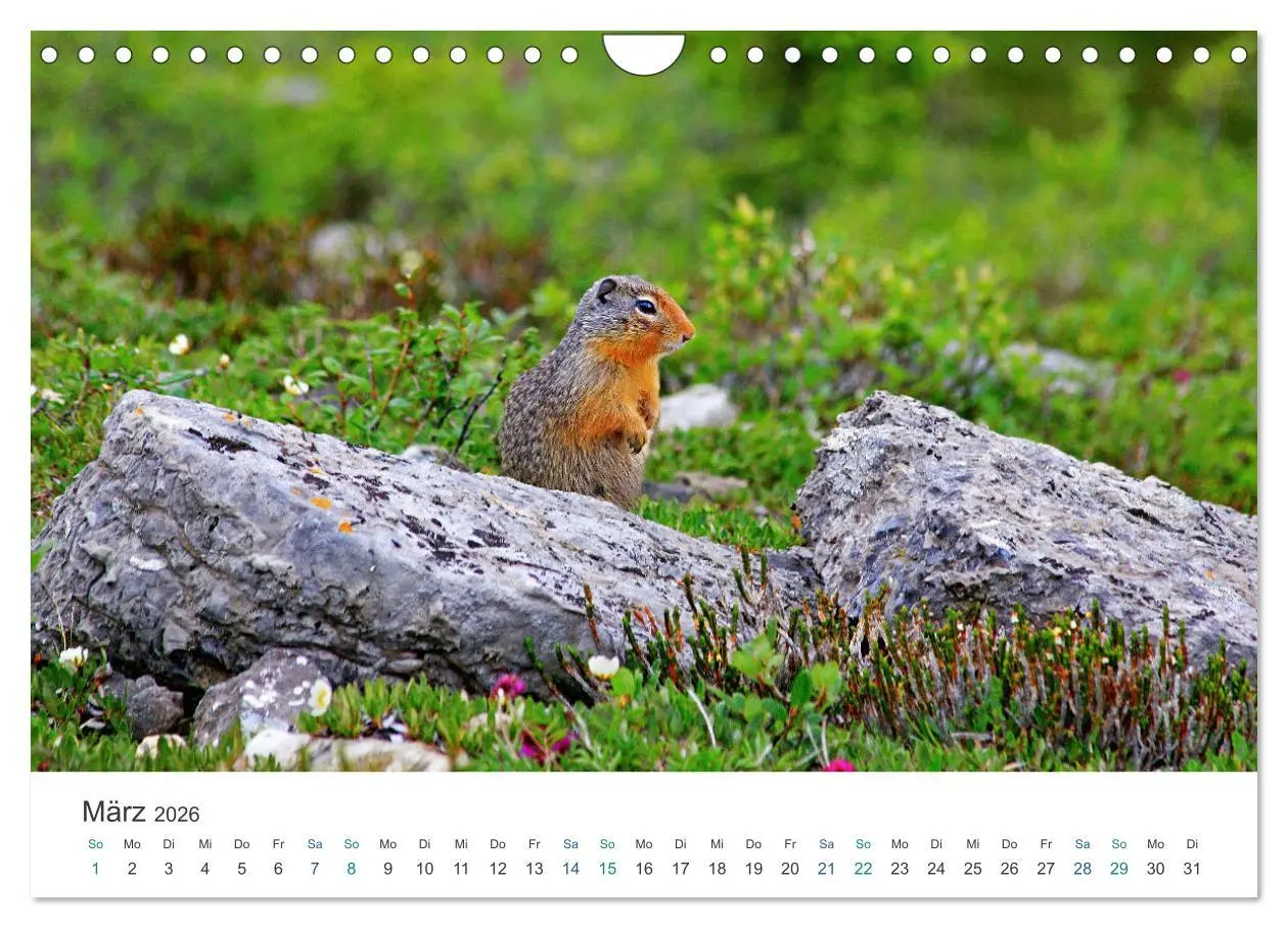 Bild: 9783457636893 | Icefields Parkway in Kanada (Wandkalender 2026 DIN A4 quer),...