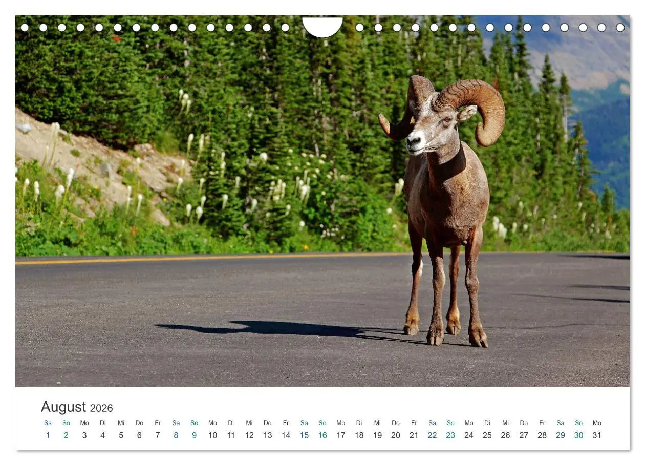 Bild: 9783457636893 | Icefields Parkway in Kanada (Wandkalender 2026 DIN A4 quer),...