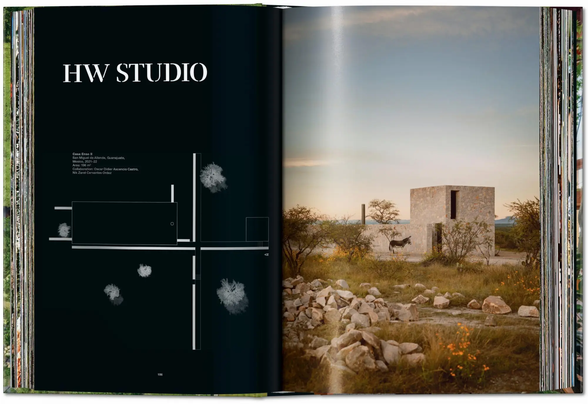 Bild: 9783836596893 | Homes for Our Time. Sustainable Living | Philip Jodidio | Buch | 2026