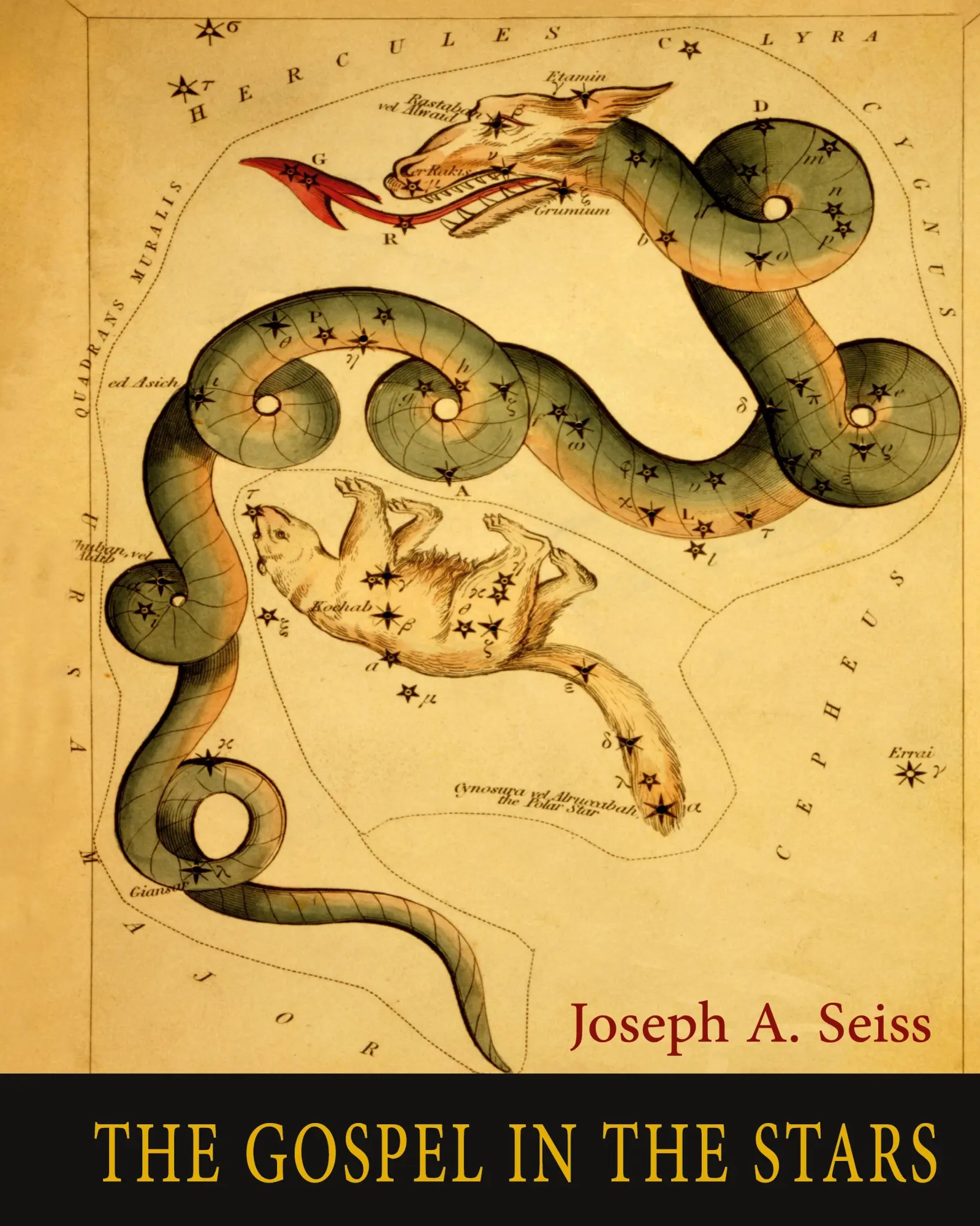Cover: 9781684226993 | The Gospel in the Stars | Joseph A. Seiss | Buch | Gebunden | Englisch