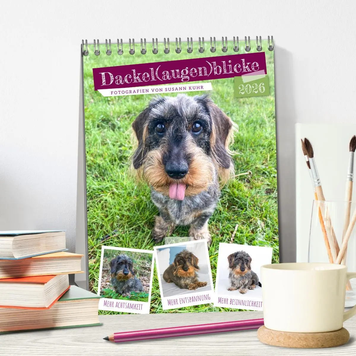 Bild: 9783516336993 | Dackel(augen)blicke (Tischkalender 2026 DIN A5 hoch), CALVENDO...