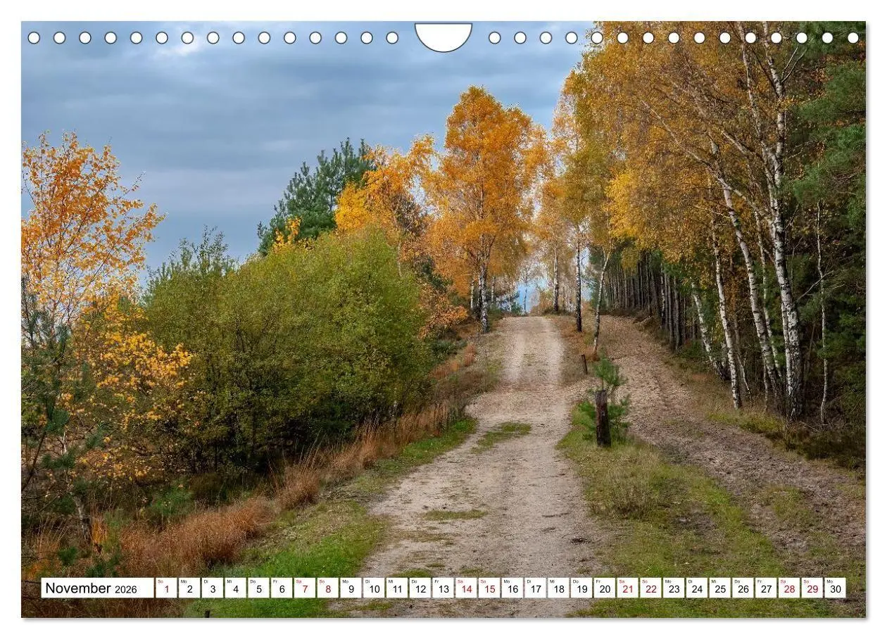 Bild: 9783516716993 | Lüneburger Heide: Die Nordheide (Wandkalender 2026 DIN A4 quer),...