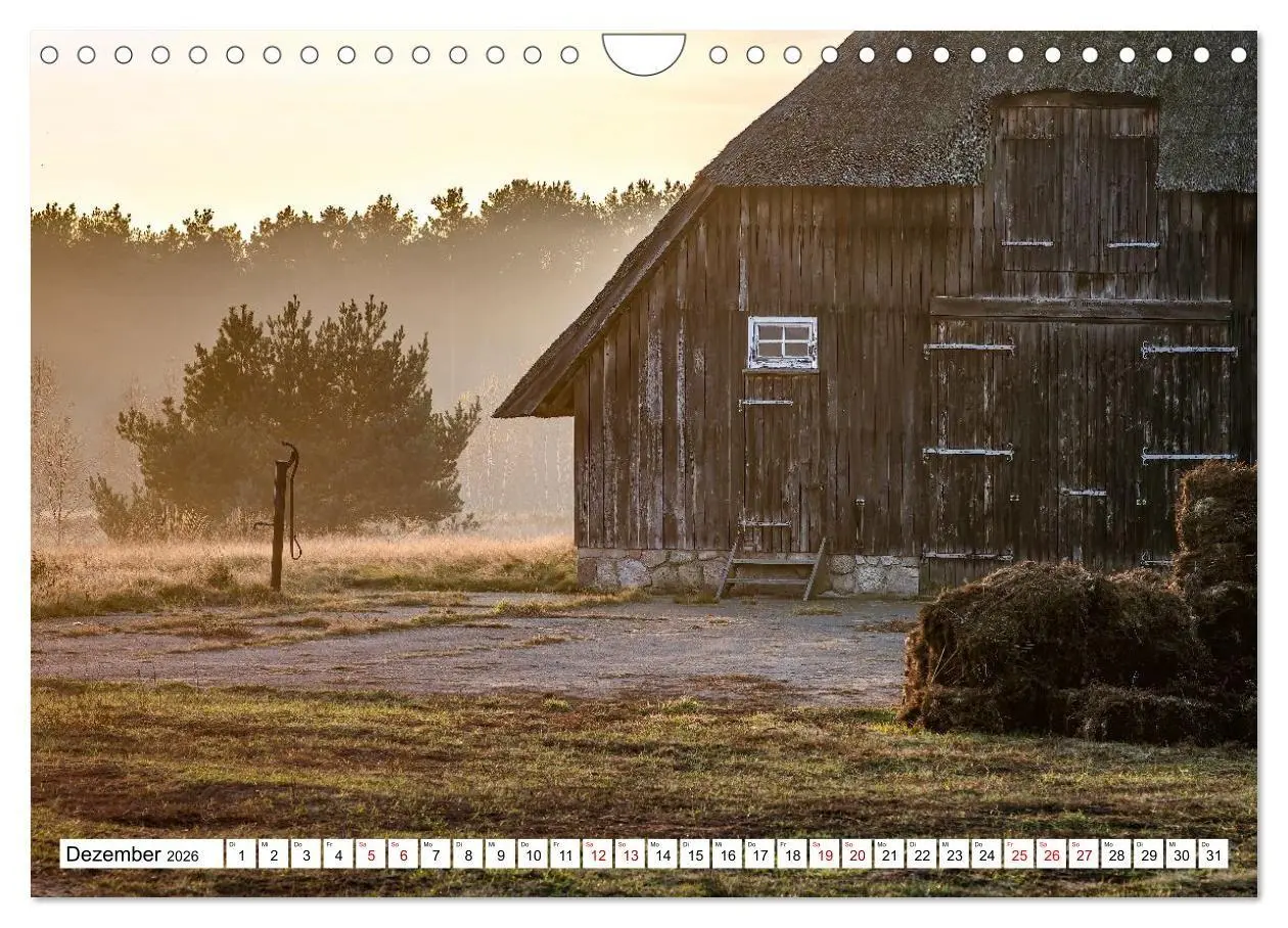 Bild: 9783516716993 | Lüneburger Heide: Die Nordheide (Wandkalender 2026 DIN A4 quer),...