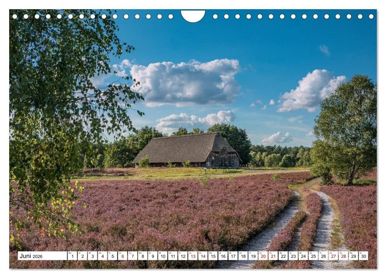 Bild: 9783516716993 | Lüneburger Heide: Die Nordheide (Wandkalender 2026 DIN A4 quer),...