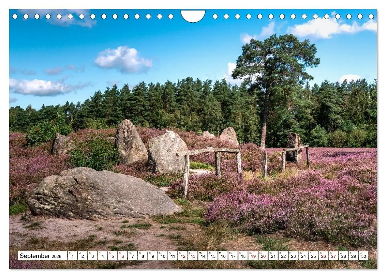 Bild: 9783516716993 | Lüneburger Heide: Die Nordheide (Wandkalender 2026 DIN A4 quer),...
