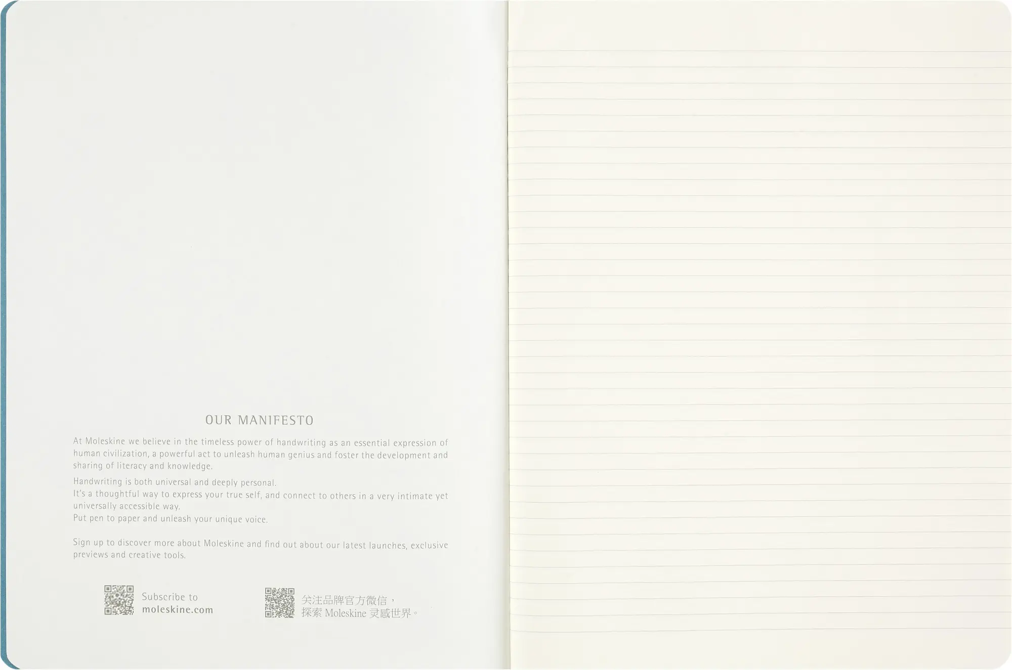 Bild: 8056999277093 | Moleskine Peanuts Linus Cahier limitierte Ausgabe, XL, liniert,...