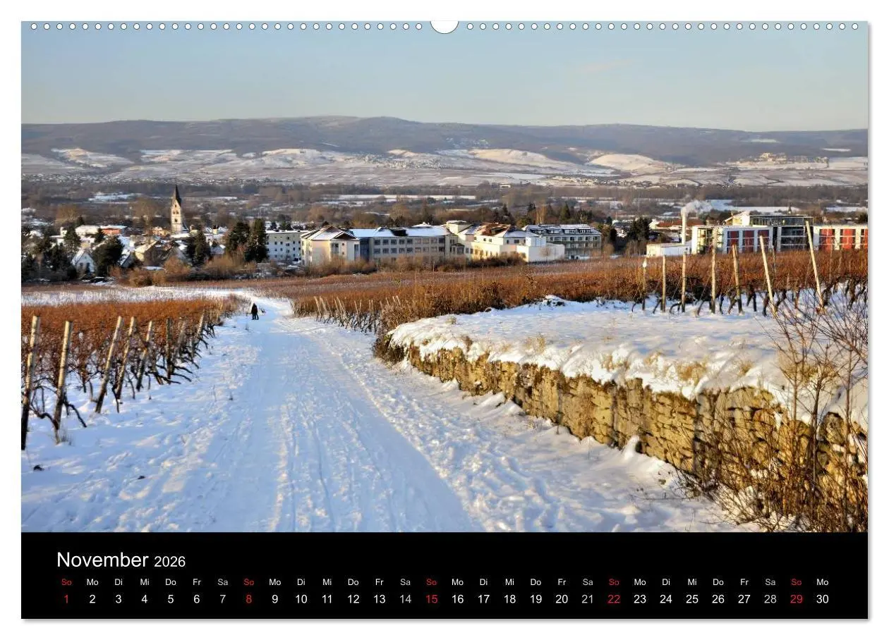 Bild: 9783516157093 | Ingelheim und Umgebung (Wandkalender 2026 DIN A2 quer), CALVENDO...