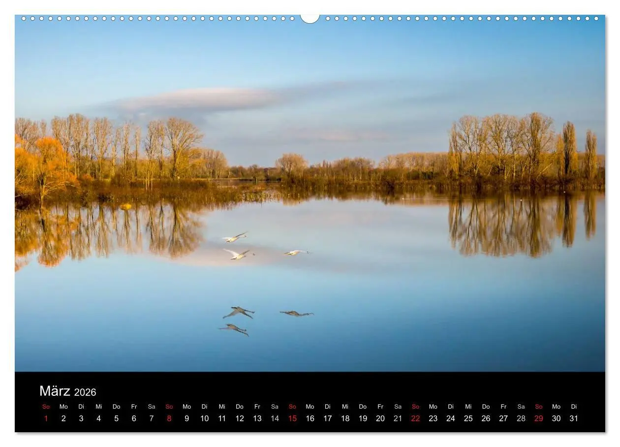 Bild: 9783516157093 | Ingelheim und Umgebung (Wandkalender 2026 DIN A2 quer), CALVENDO...
