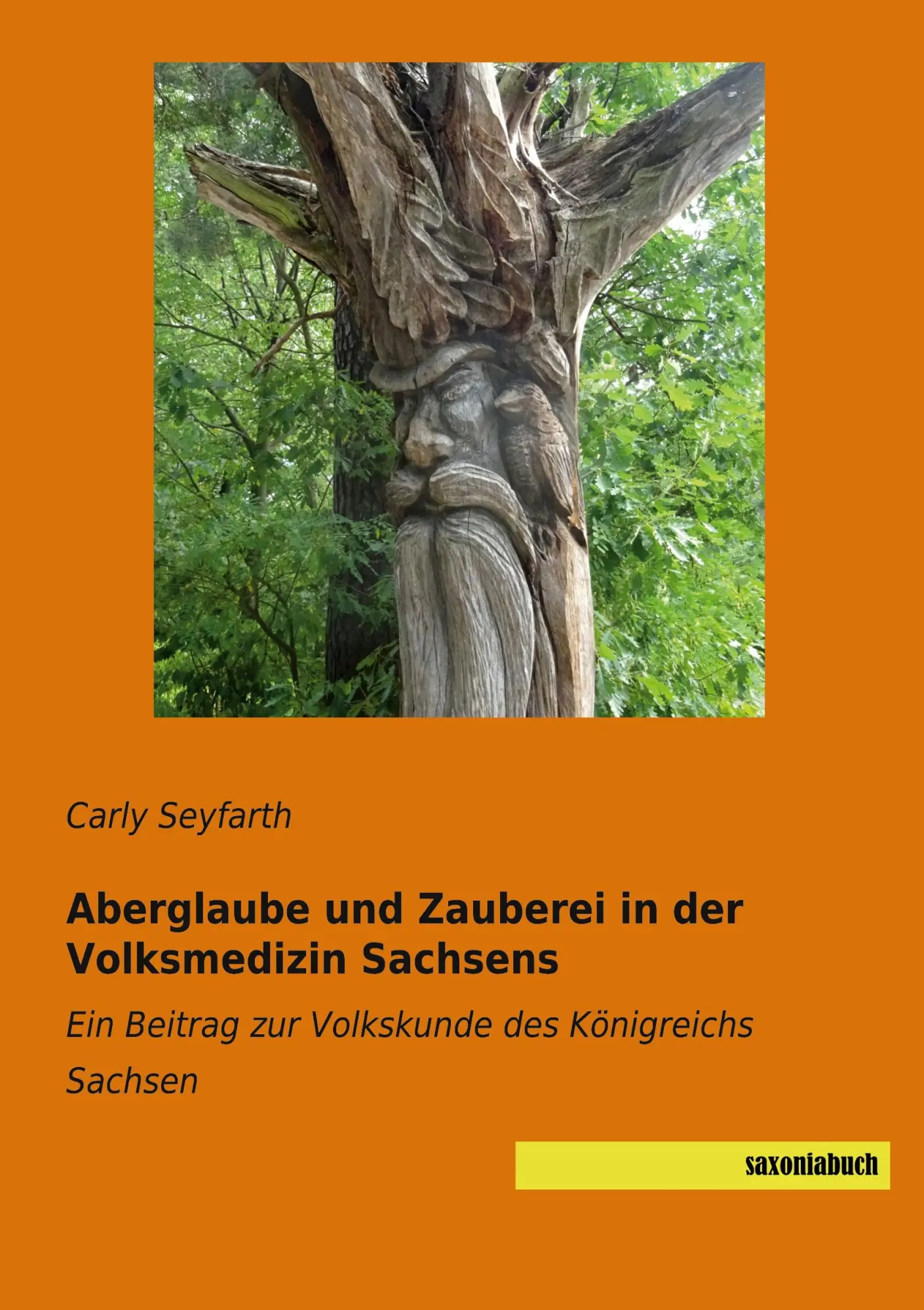 Cover: 9783957707093 | Aberglaube und Zauberei in der Volksmedizin Sachsens | Carly Seyfarth