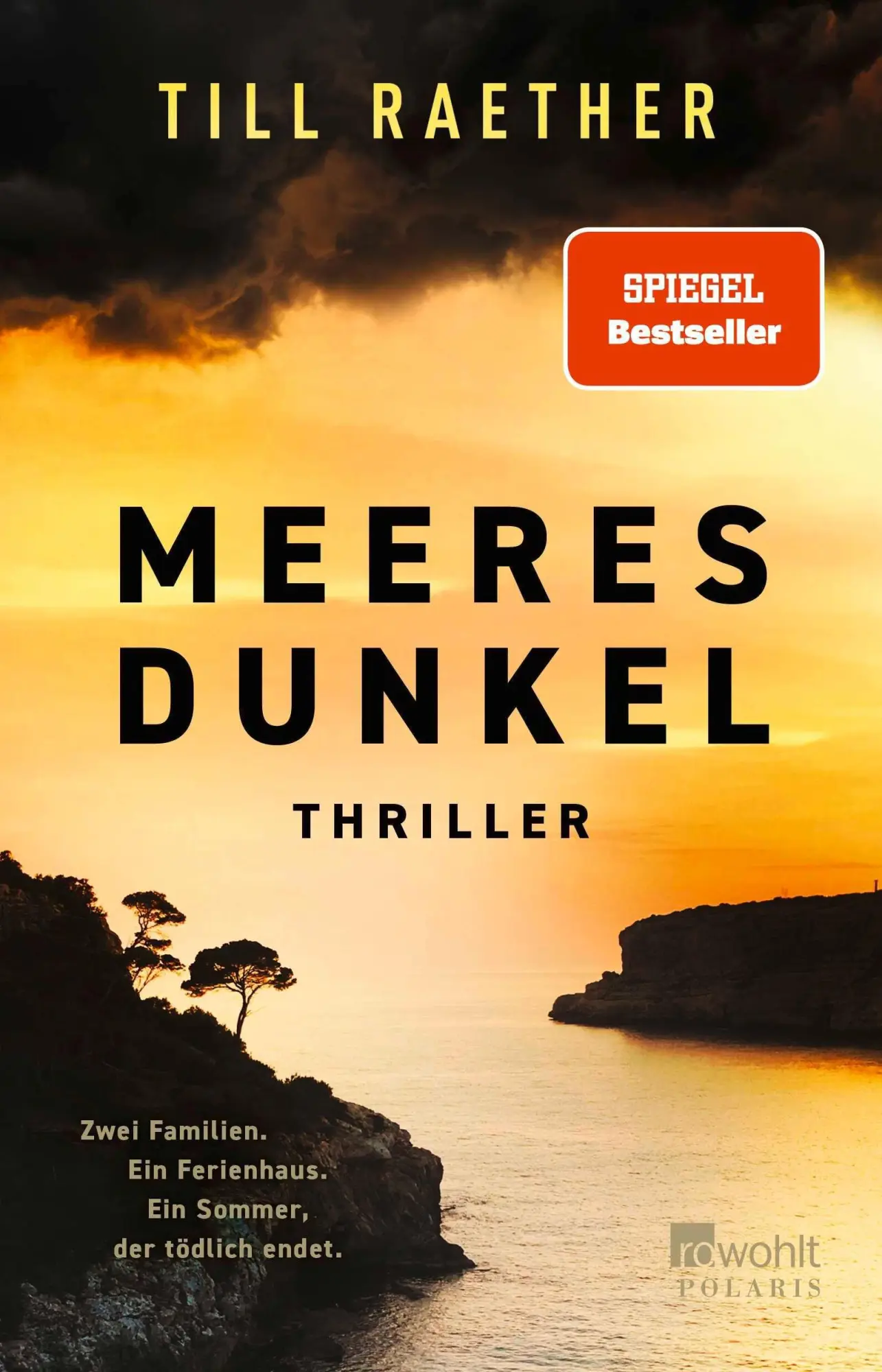 Cover: 9783499017193 | Meeresdunkel | Till Raether | Taschenbuch | 416 S. | Deutsch | 2026
