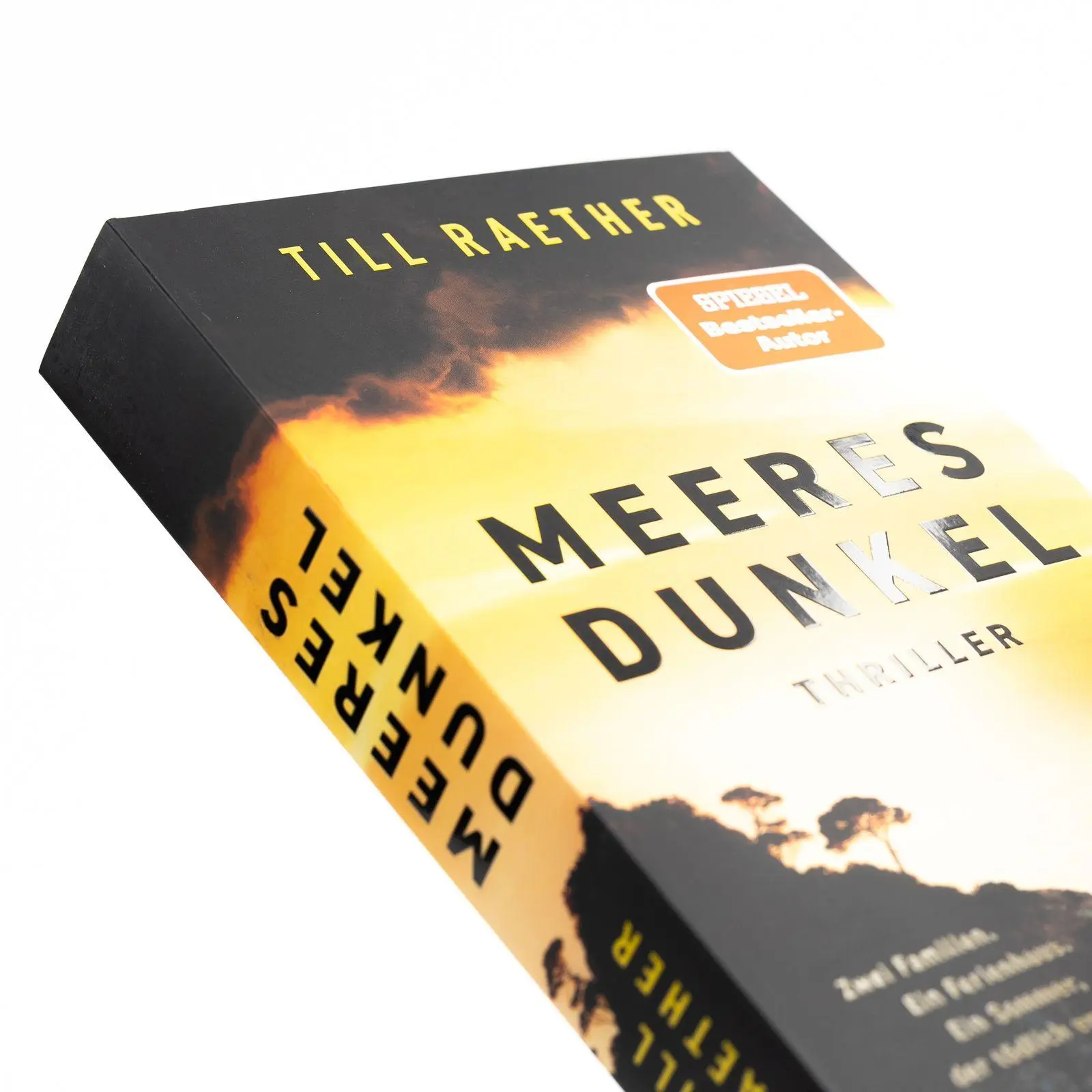Bild: 9783499017193 | Meeresdunkel | Till Raether | Taschenbuch | 416 S. | Deutsch | 2026