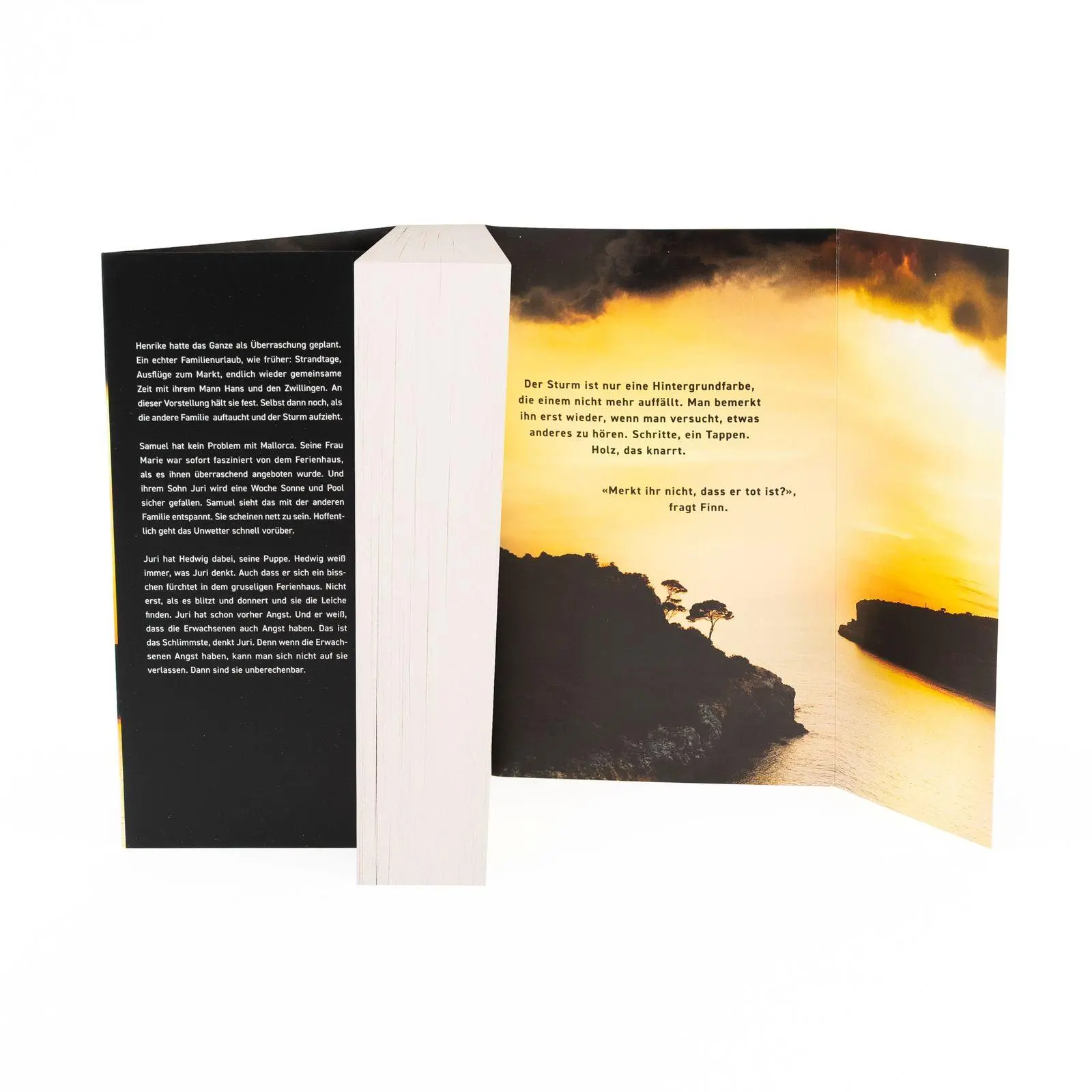 Bild: 9783499017193 | Meeresdunkel | Till Raether | Taschenbuch | 416 S. | Deutsch | 2026