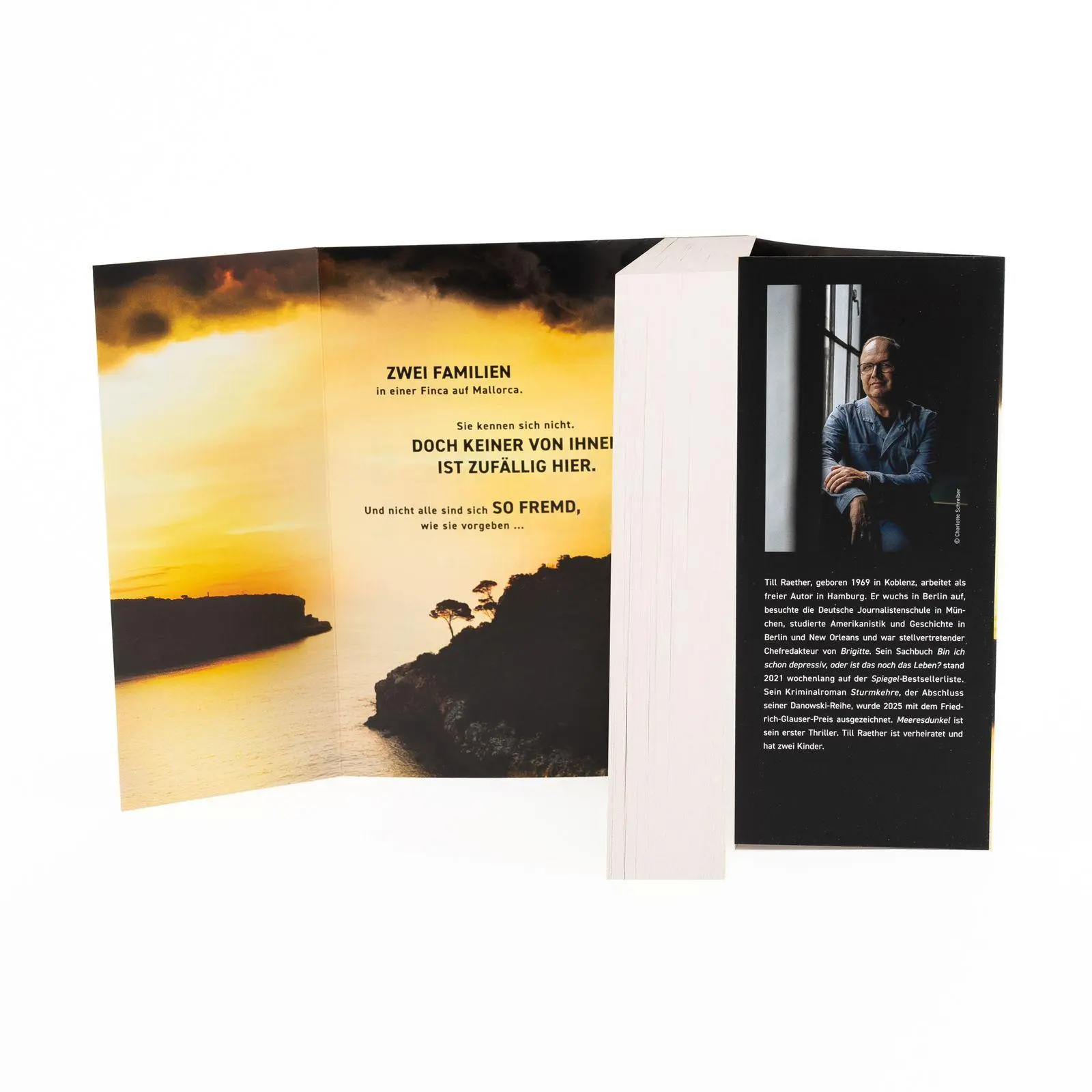 Bild: 9783499017193 | Meeresdunkel | Till Raether | Taschenbuch | 416 S. | Deutsch | 2026