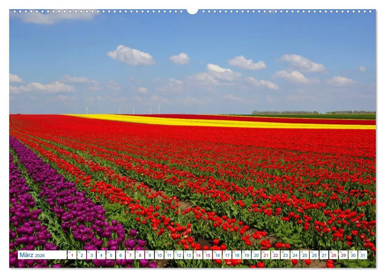 Bild: 9783516217193 | Magdeburg und Umgebung 2026 (hochwertiger Premium Wandkalender 2026...