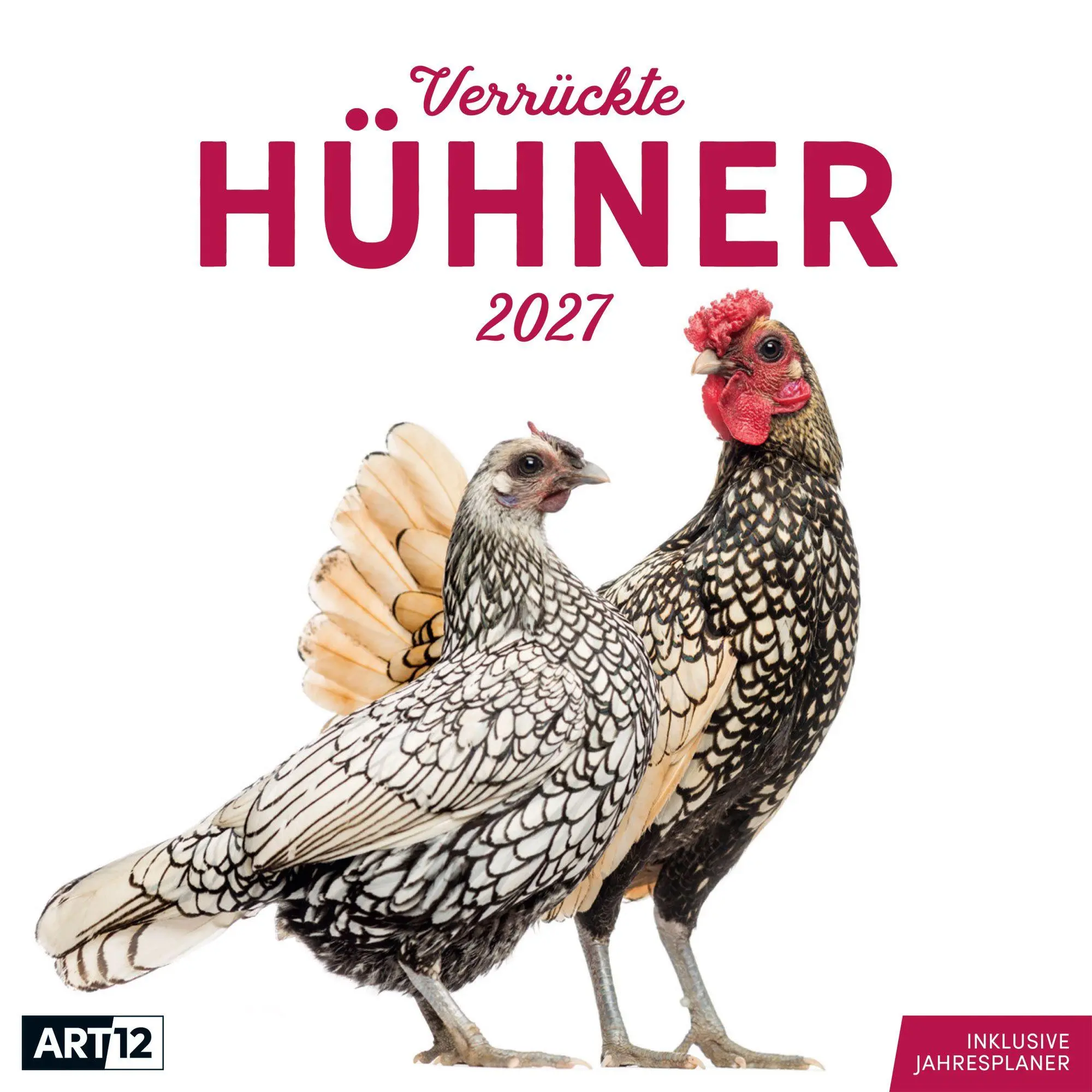 Cover: 9783838447193 | Verrückte Hühner Kalender 2027 - 30x30 - Art12 | GmbH | Kalender
