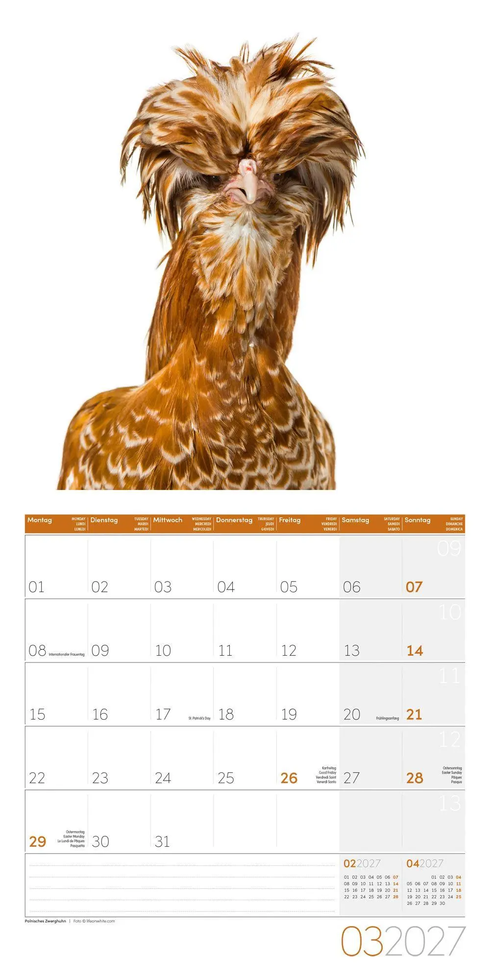 Bild: 9783838447193 | Verrückte Hühner Kalender 2027 - 30x30 - Art12 | GmbH | Kalender