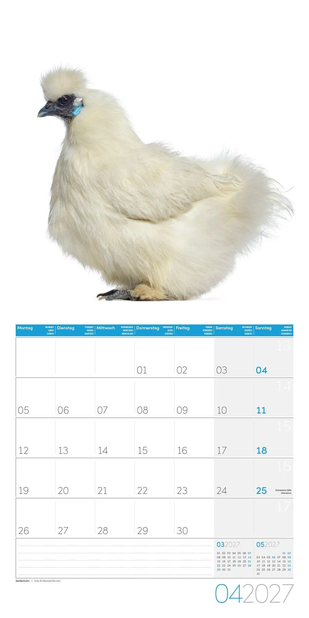 Bild: 9783838447193 | Verrückte Hühner Kalender 2027 - 30x30 - Art12 | GmbH | Kalender