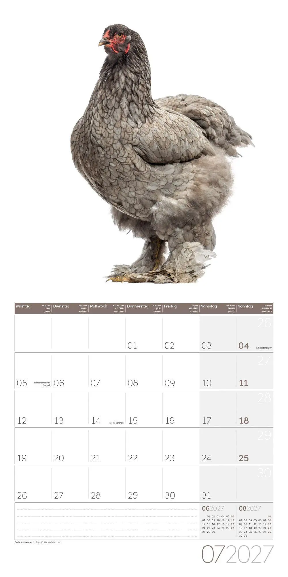 Bild: 9783838447193 | Verrückte Hühner Kalender 2027 - 30x30 - Art12 | GmbH | Kalender