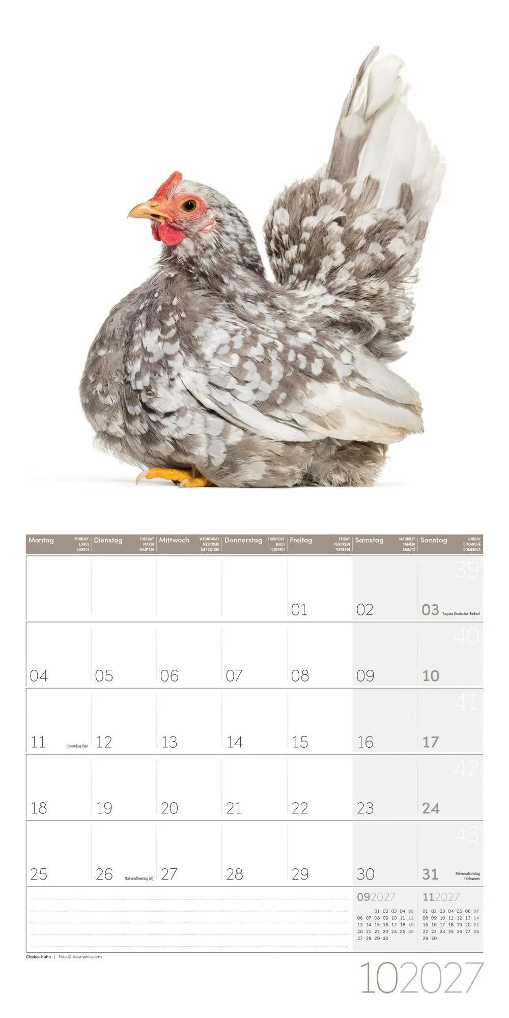 Bild: 9783838447193 | Verrückte Hühner Kalender 2027 - 30x30 - Art12 | GmbH | Kalender