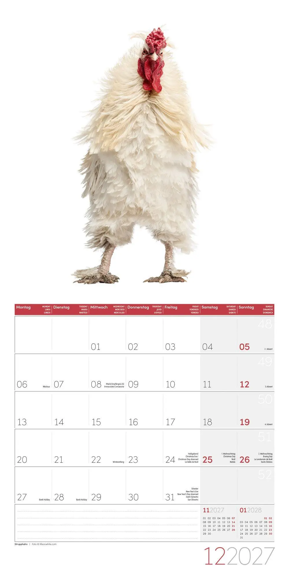 Bild: 9783838447193 | Verrückte Hühner Kalender 2027 - 30x30 - Art12 | GmbH | Kalender