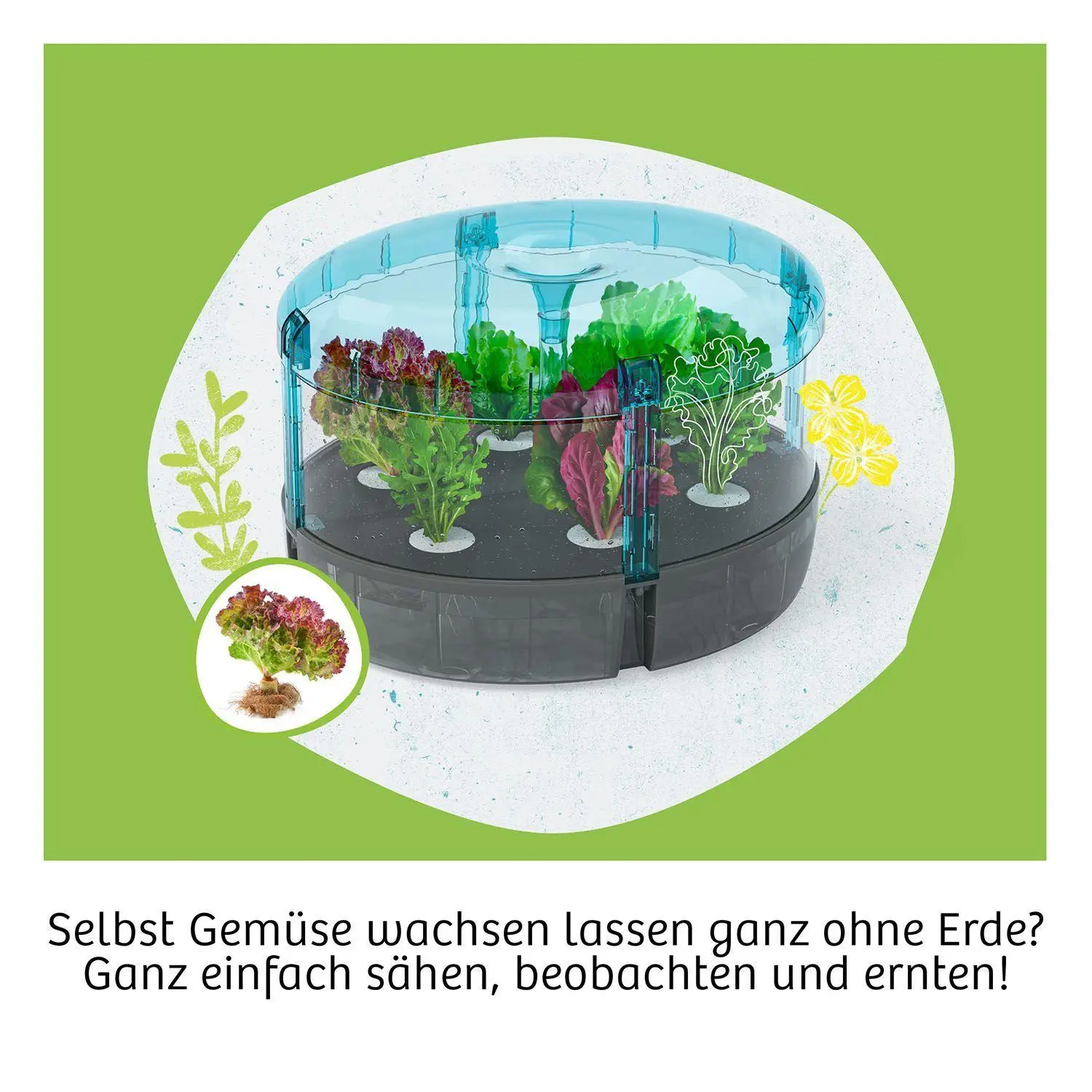 Bild: 4002051637293 | Hydro-Garten | Experimentierkasten | Spiel | 637293 | Deutsch | 2026