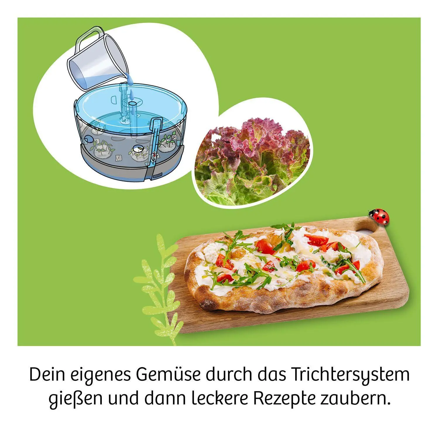 Bild: 4002051637293 | Hydro-Garten | Experimentierkasten | Spiel | 637293 | Deutsch | 2026