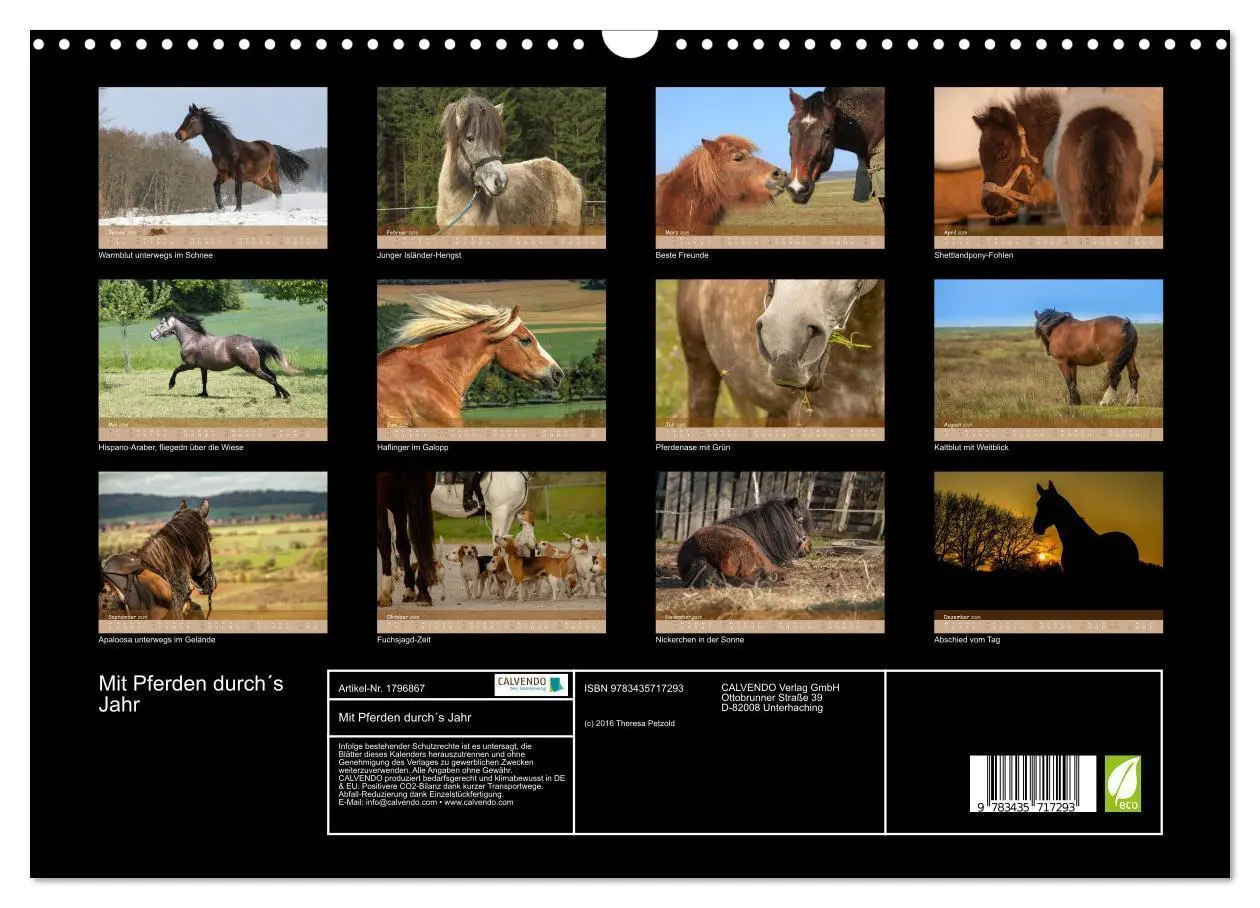 Bild: 9783435717293 | Mit Pferden durch´s Jahr (Wandkalender 2025 DIN A3 quer), CALVENDO...