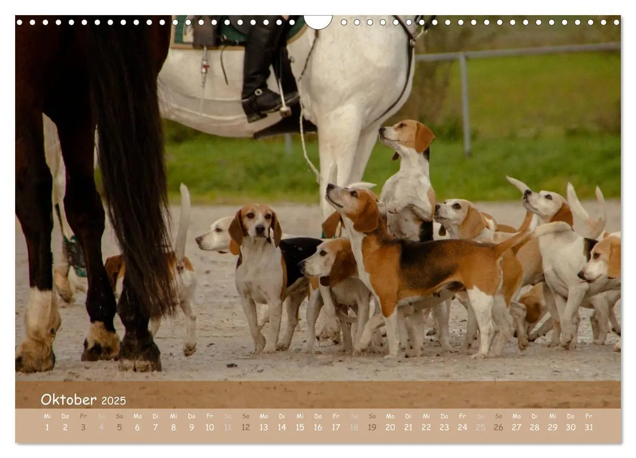 Bild: 9783435717293 | Mit Pferden durch´s Jahr (Wandkalender 2025 DIN A3 quer), CALVENDO...
