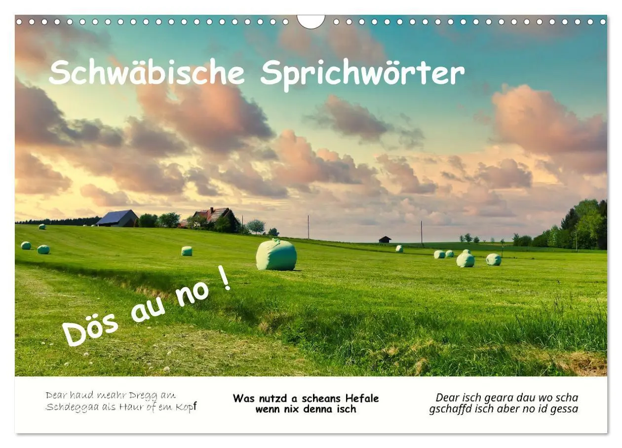 Cover: 9783457287293 | 03 Schwäbische Sprichwörter - Dös au no! (Wandkalender 2026 DIN A3...