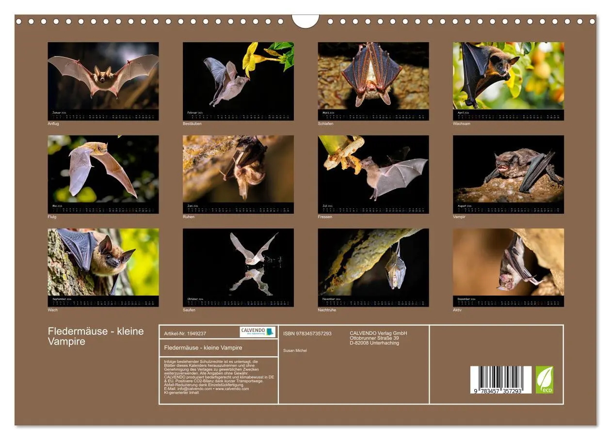 Bild: 9783457357293 | Fledermäuse - kleine Vampire (Wandkalender 2026 DIN A3 quer),...