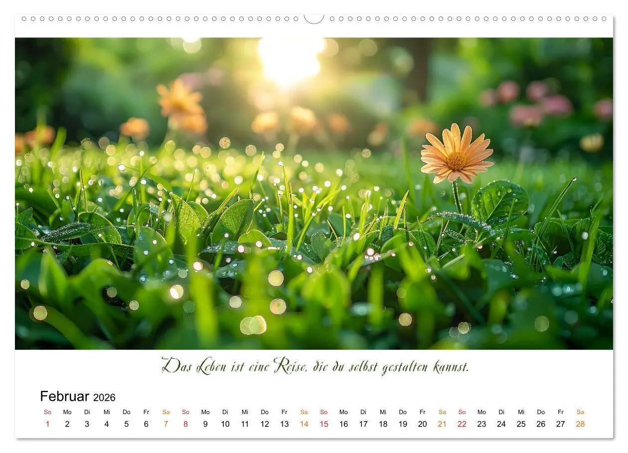 Bild: 9783457427293 | Freu Dich Motivations-Kalender (Wandkalender 2026 DIN A2 quer),...