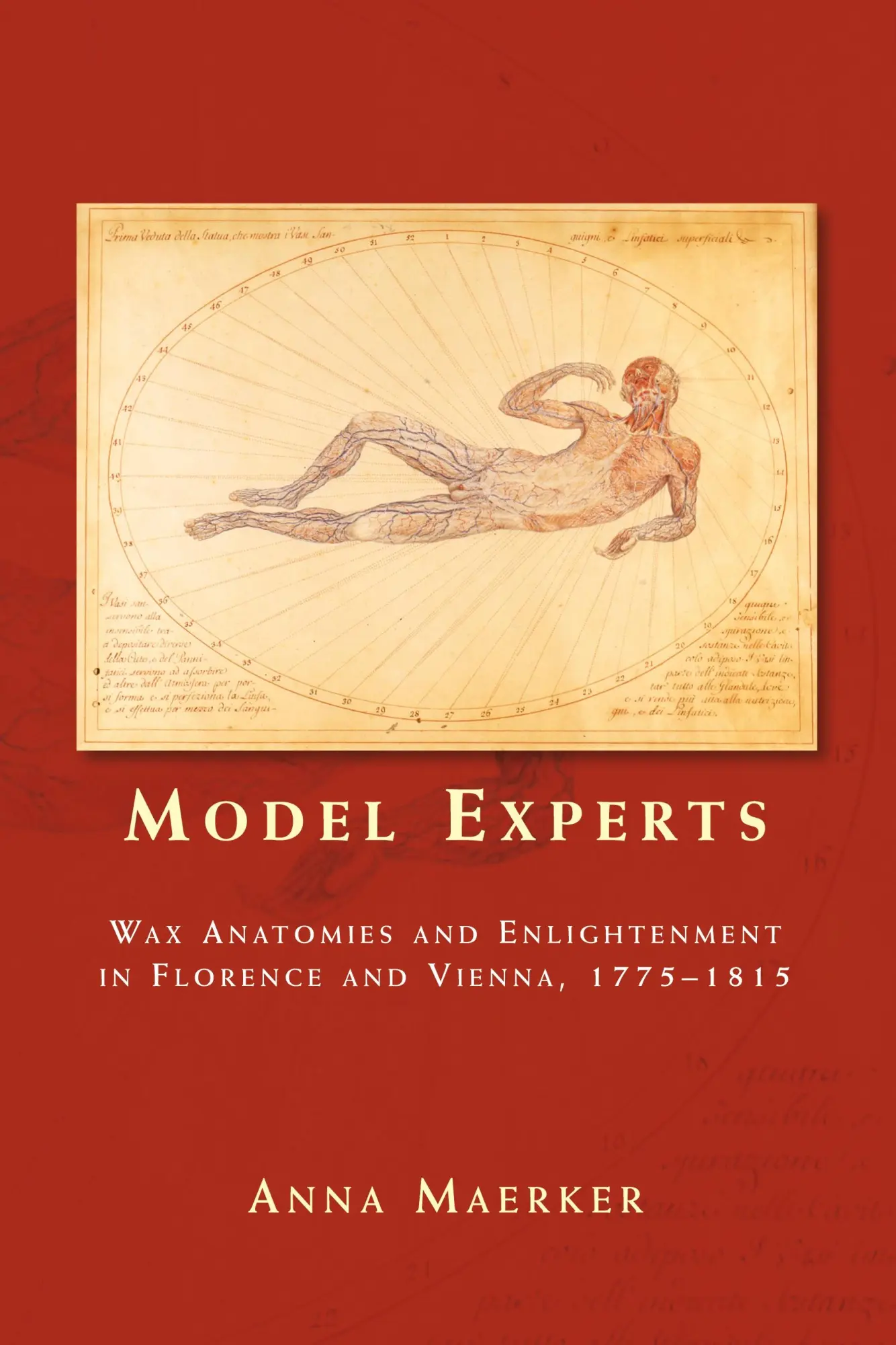 Cover: 9780719097393 | Model experts | Anna Maerker | Taschenbuch | Englisch | 2015