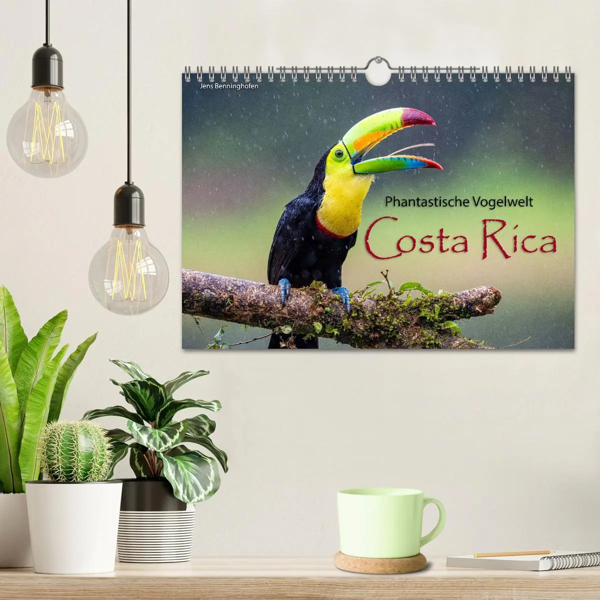 Bild: 9783457277393 | Phantastische Vogelwelt Costa Rica (Wandkalender 2026 DIN A4 quer),...