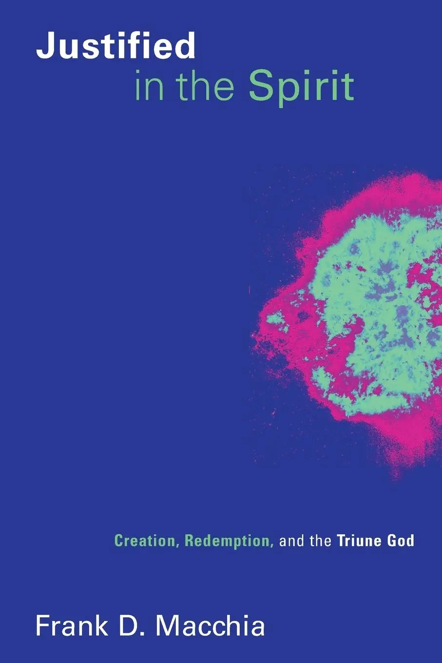 Cover: 9780802837493 | Justified in the Spirit | Creation, Redemption, and the Triune God