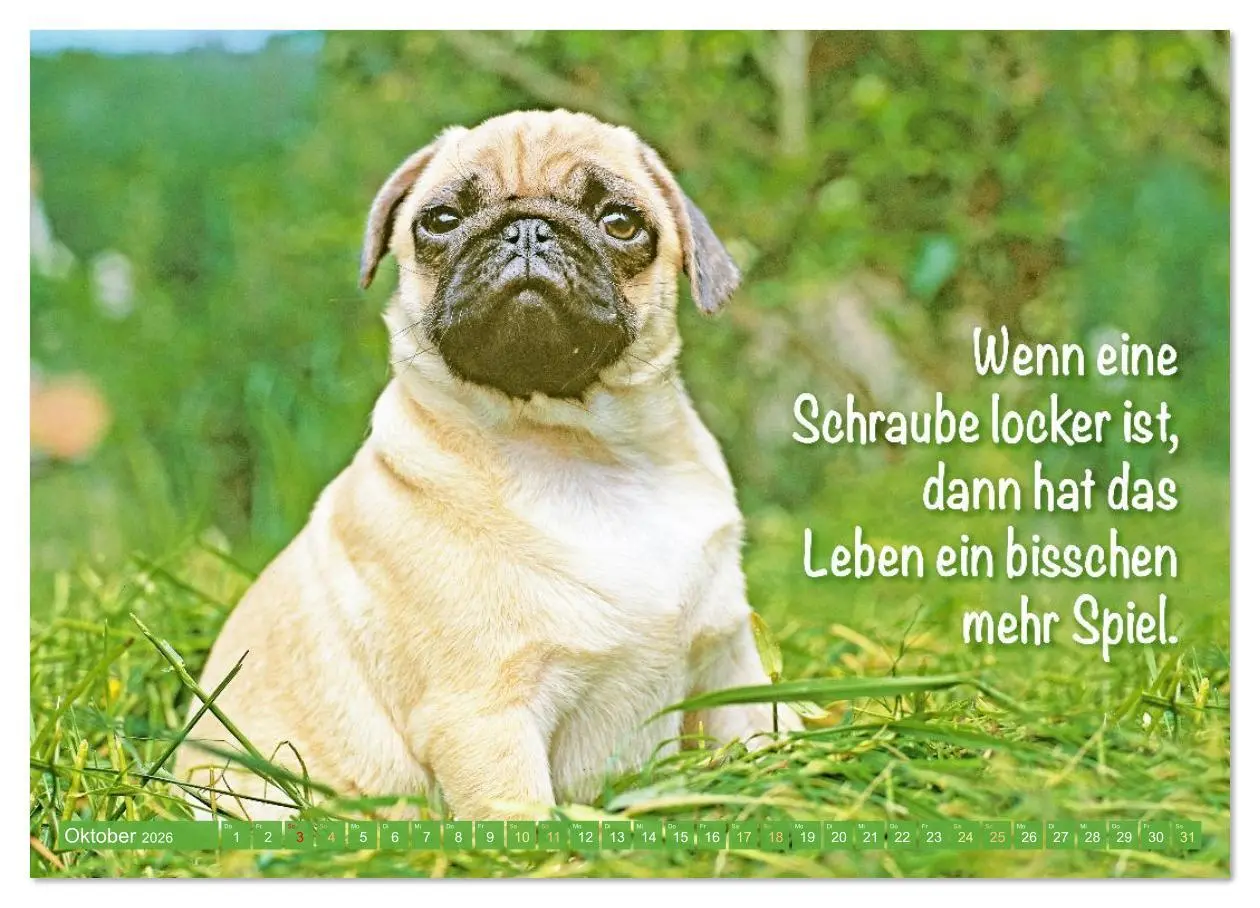 Bild: 9783516597493 | Der Mops: Nicht klein, sondern aufs Wesentliche reduziert....