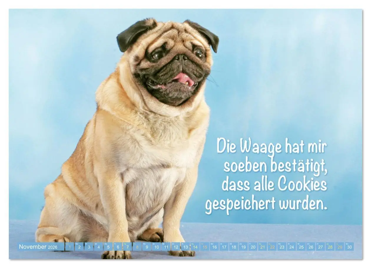 Bild: 9783516597493 | Der Mops: Nicht klein, sondern aufs Wesentliche reduziert....