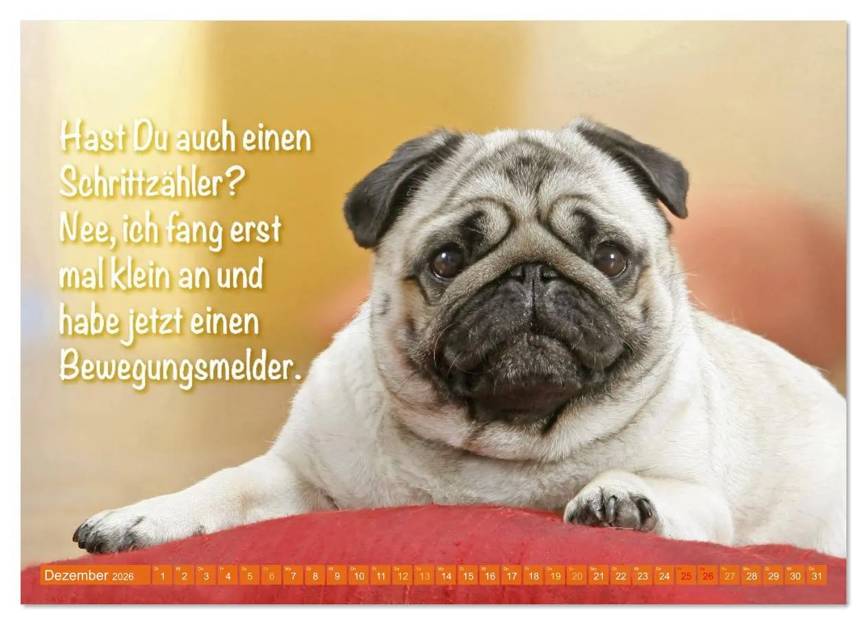 Bild: 9783516597493 | Der Mops: Nicht klein, sondern aufs Wesentliche reduziert....