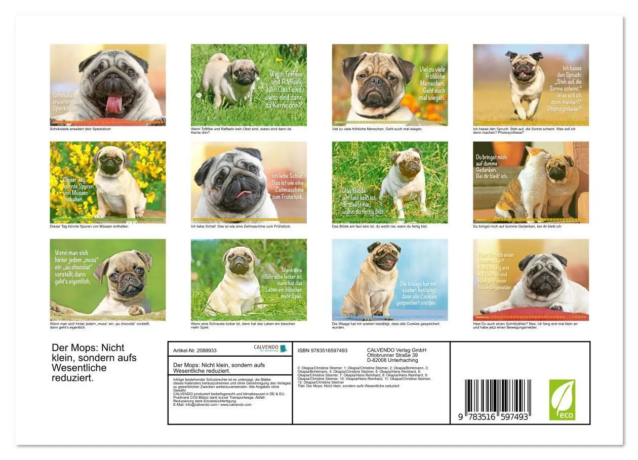 Bild: 9783516597493 | Der Mops: Nicht klein, sondern aufs Wesentliche reduziert....