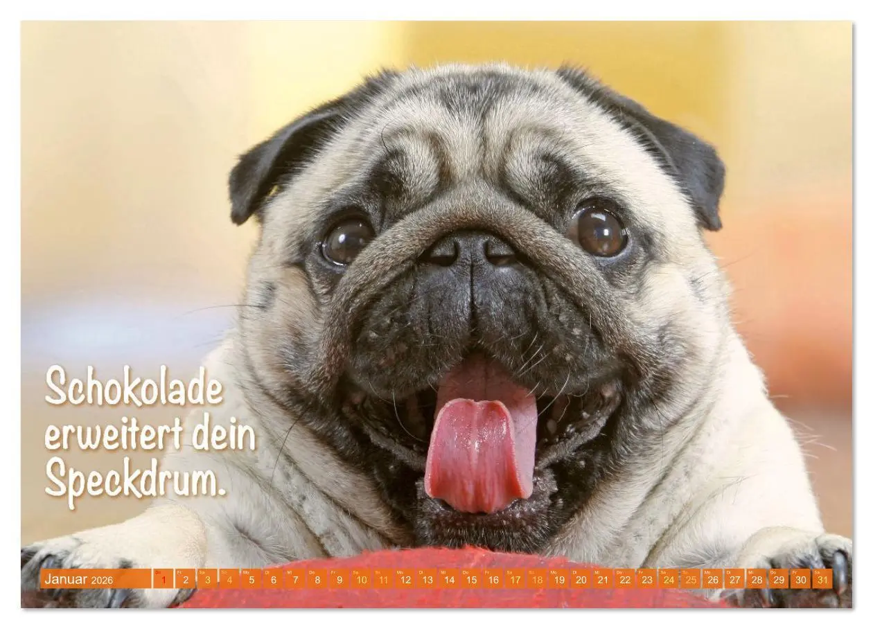 Bild: 9783516597493 | Der Mops: Nicht klein, sondern aufs Wesentliche reduziert....