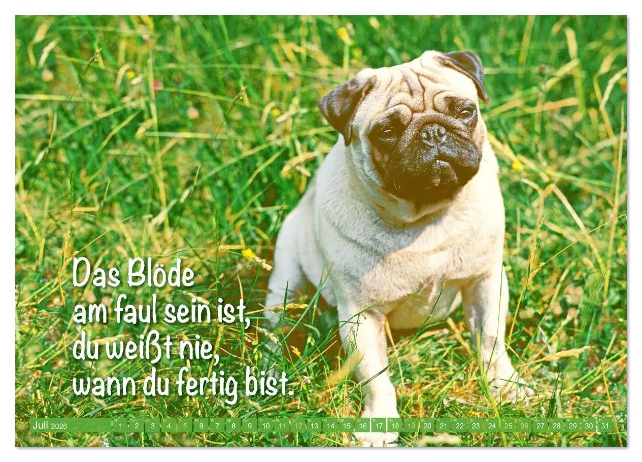 Bild: 9783516597493 | Der Mops: Nicht klein, sondern aufs Wesentliche reduziert....