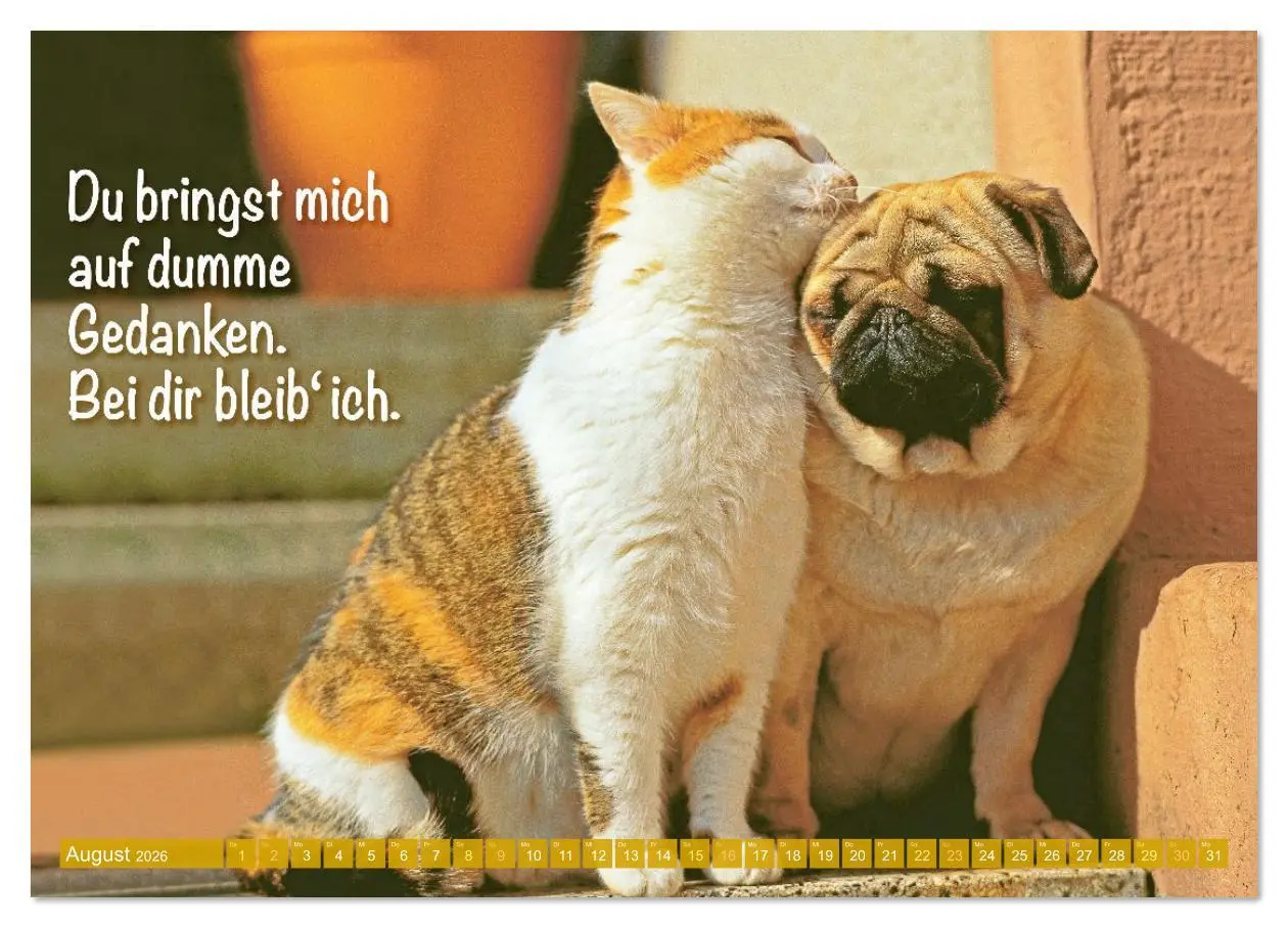 Bild: 9783516597493 | Der Mops: Nicht klein, sondern aufs Wesentliche reduziert....