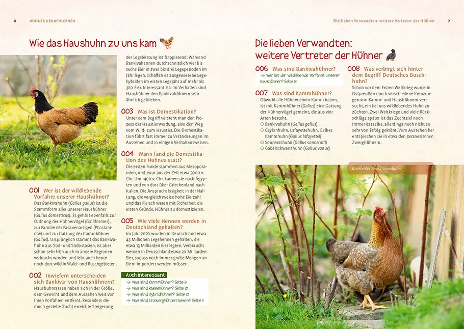 Bild: 9783818617493 | Hühner | Wilhelm Bauer (u. a.) | Taschenbuch | 128 S. | Deutsch | 2023