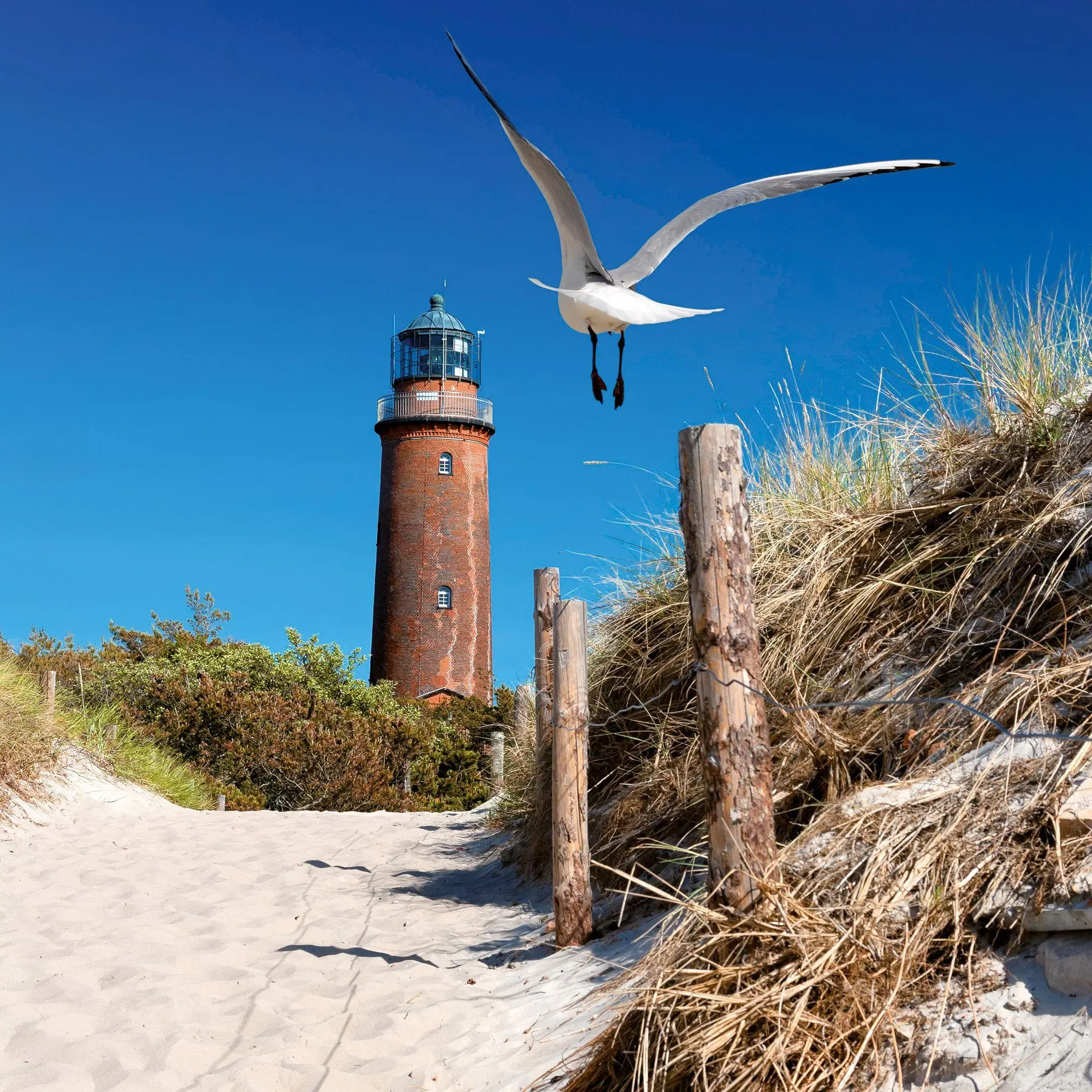 Bild: 9783959297493 | Ostsee / Baltic Sea 2027 | Kalender 2027 | Kalender | Artwork Edition