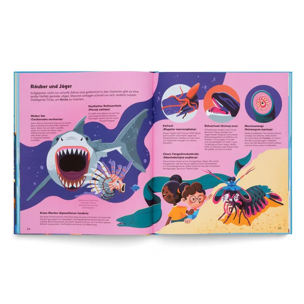 Bild: 9783967047493 | Entdecke die Ozeane | Anne Ameri-Siemens | Buch | 64 S. | Deutsch