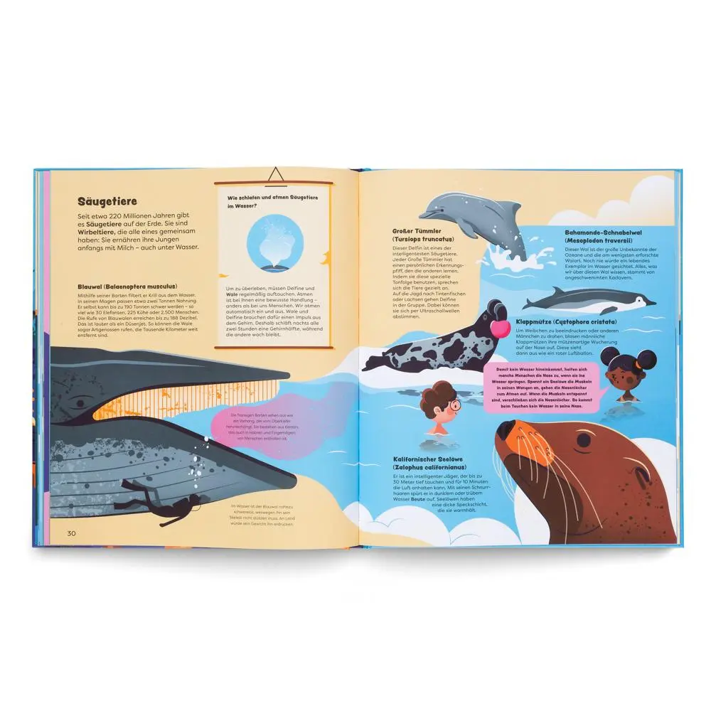 Bild: 9783967047493 | Entdecke die Ozeane | Anne Ameri-Siemens | Buch | 64 S. | Deutsch