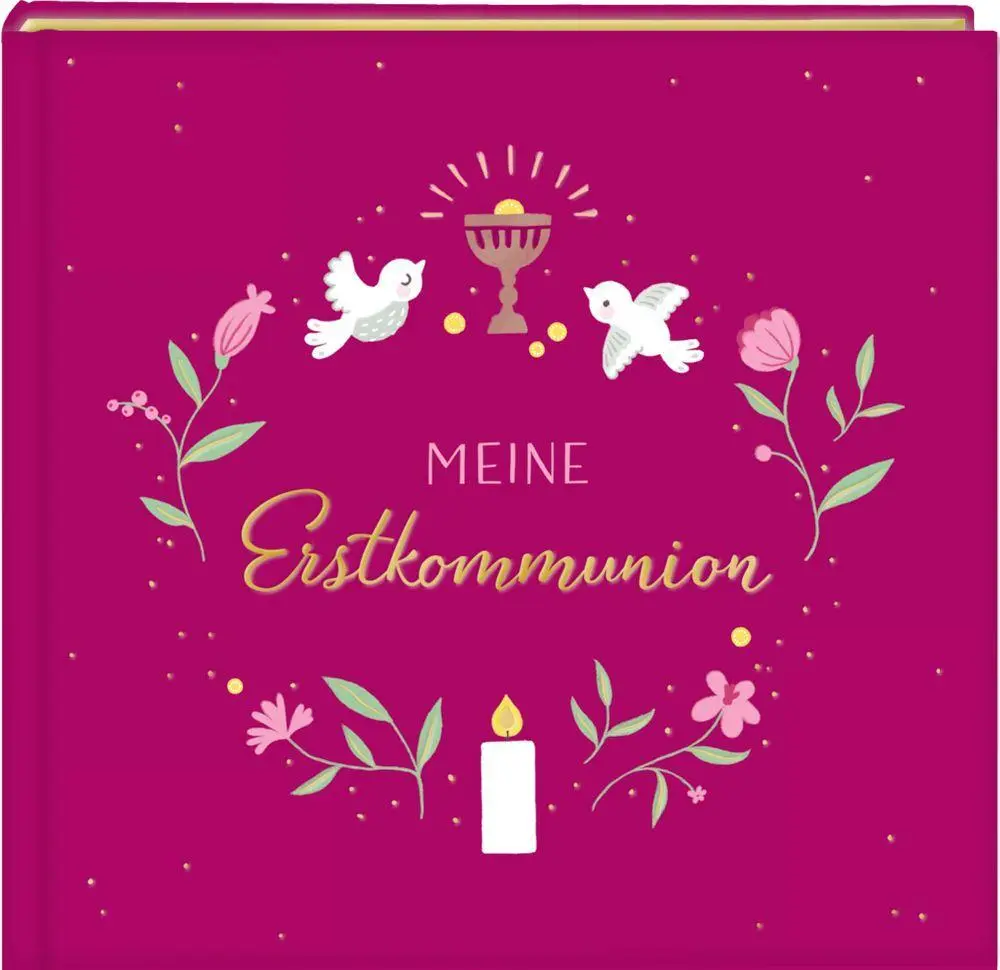 Bild: 4050003717593 | Eintragalbum - Meine Erstkommunion (beerenfarben) | Nora Paehl | Buch