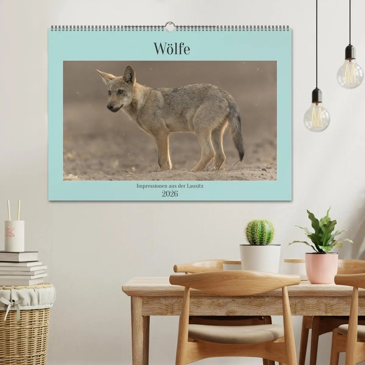 Bild: 9783457487693 | Wölfe, Impressionen aus der Lausitz (Wandkalender 2026 DIN A2...