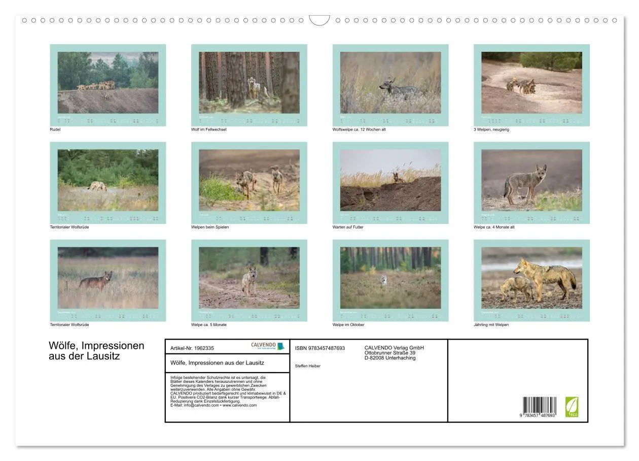 Bild: 9783457487693 | Wölfe, Impressionen aus der Lausitz (Wandkalender 2026 DIN A2...