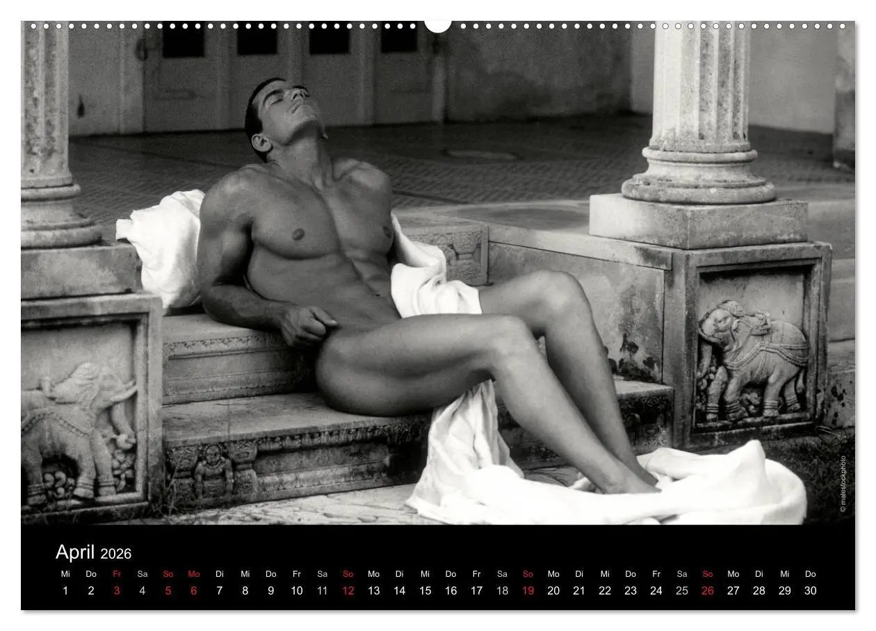 Bild: 9783516027693 | Traummänner Männerträume (hochwertiger Premium Wandkalender 2026...